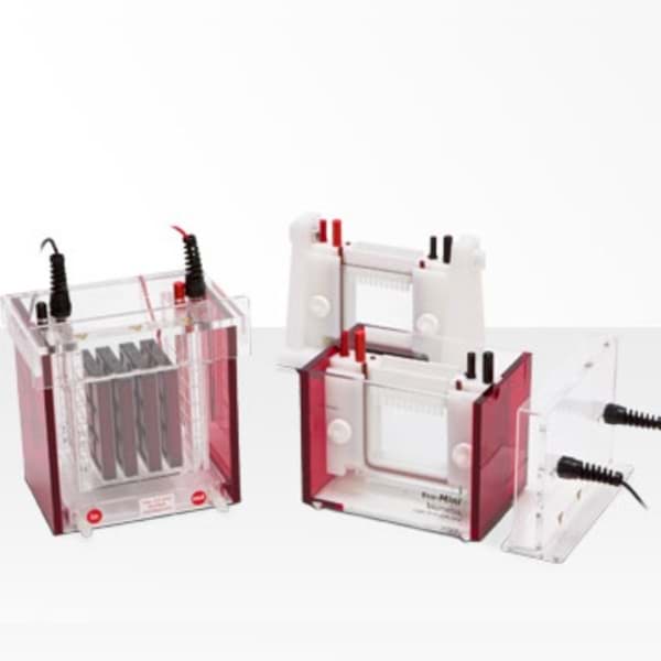 SKU 846-017-175 Electrophoresis Module eco mini  